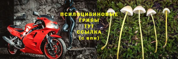 хмурый Верхний Тагил