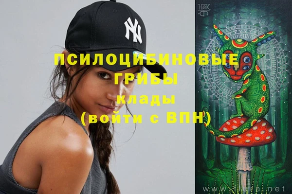 хмурый Верхний Тагил