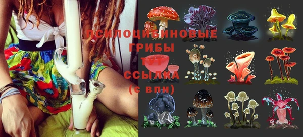 МДМА Верея